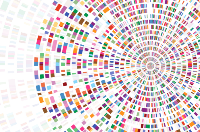 Human Genome Project