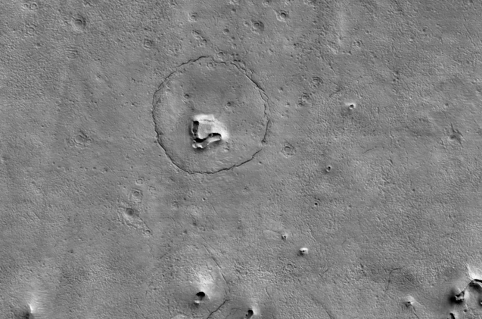 A Bear Lookalike on Mars found on Mars