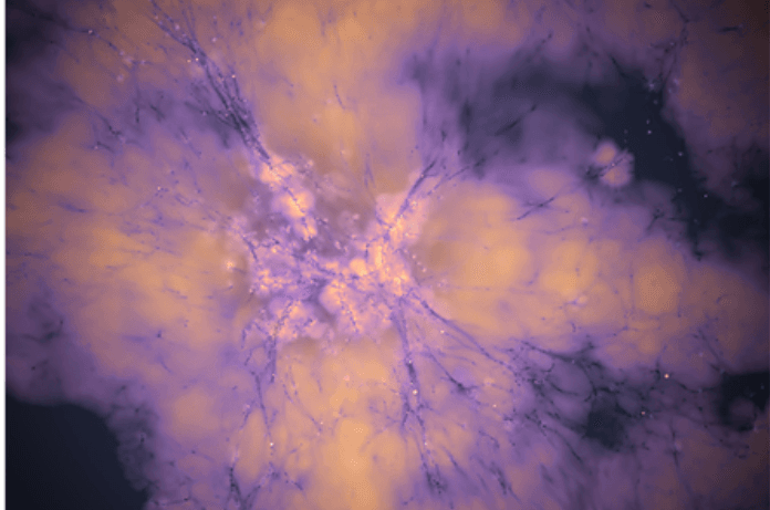 Dark Energy