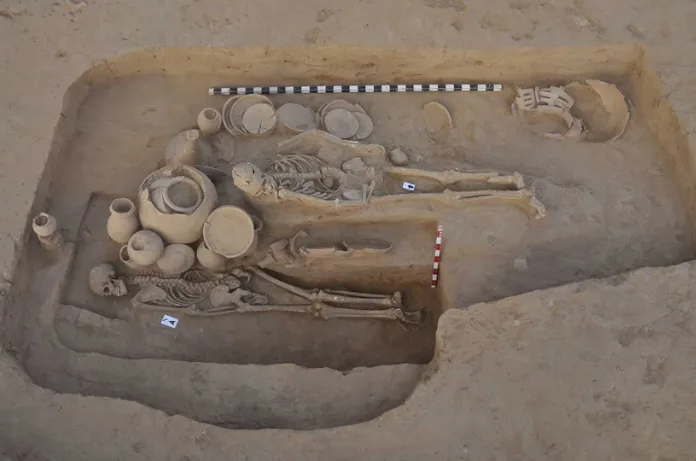 Skeletal Remains
