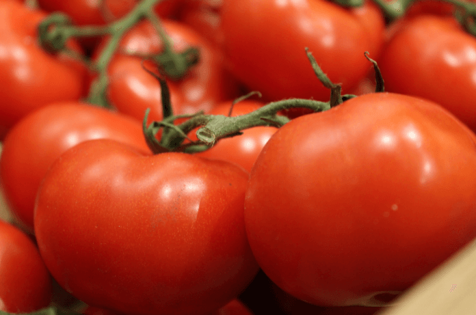 Tomatoes
