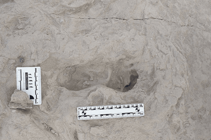 Fossil Footprint