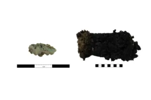 Mineralized Silk fabric sample and ash layer sample from sacrificial pit unearthed at Sanxingdui Site