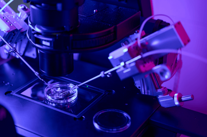 IVGs: Lab-Grown Eggs and Sperms