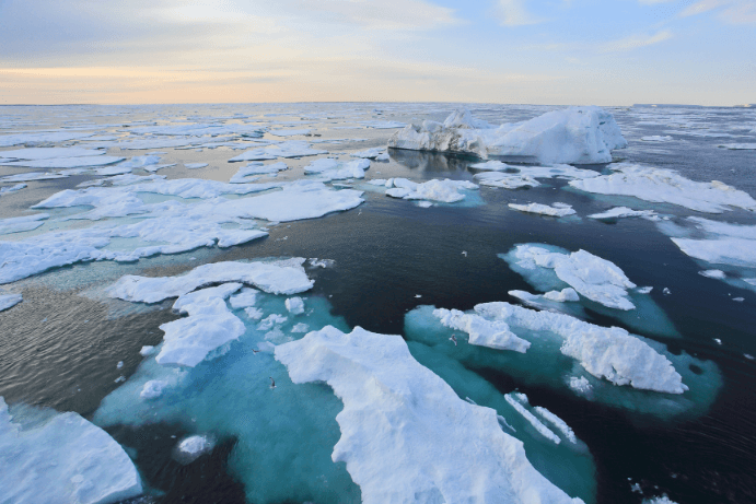 Ocean Cleanup with Oil Spills